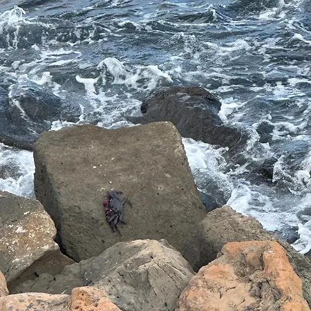 Luxury Canarian With Large Pool In Costa Apartmán Teguise (Lanzarote)